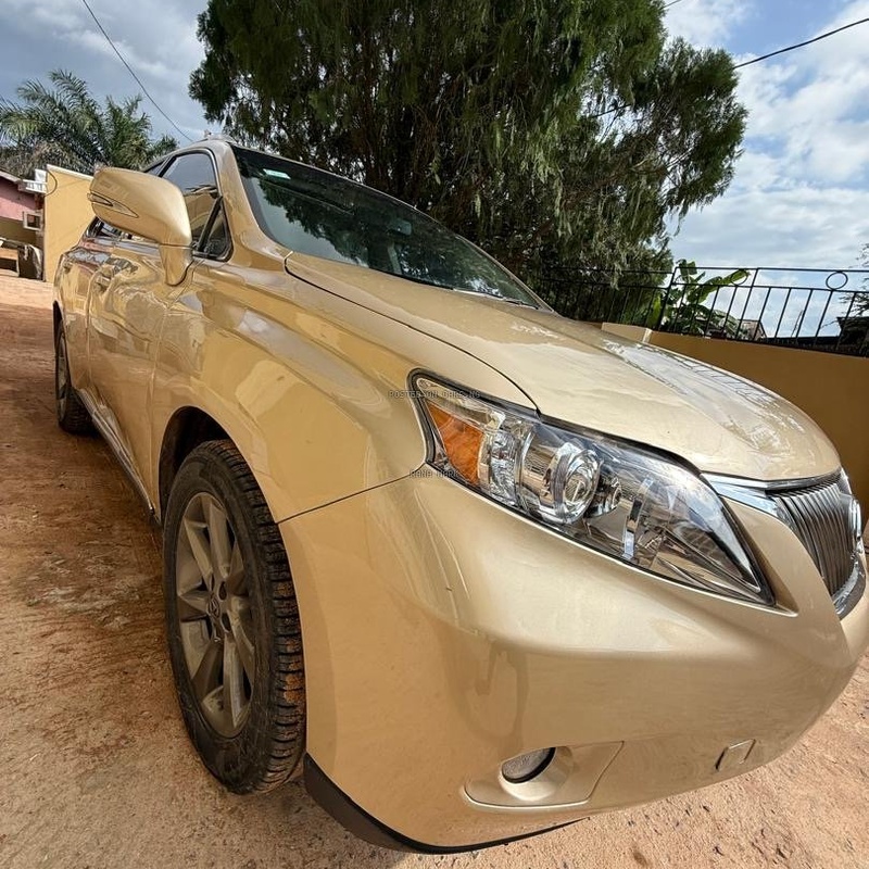 Lexus RX350 2010 for Sale In Edo State image