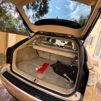 Lexus RX350 2010 for Sale In Edo State