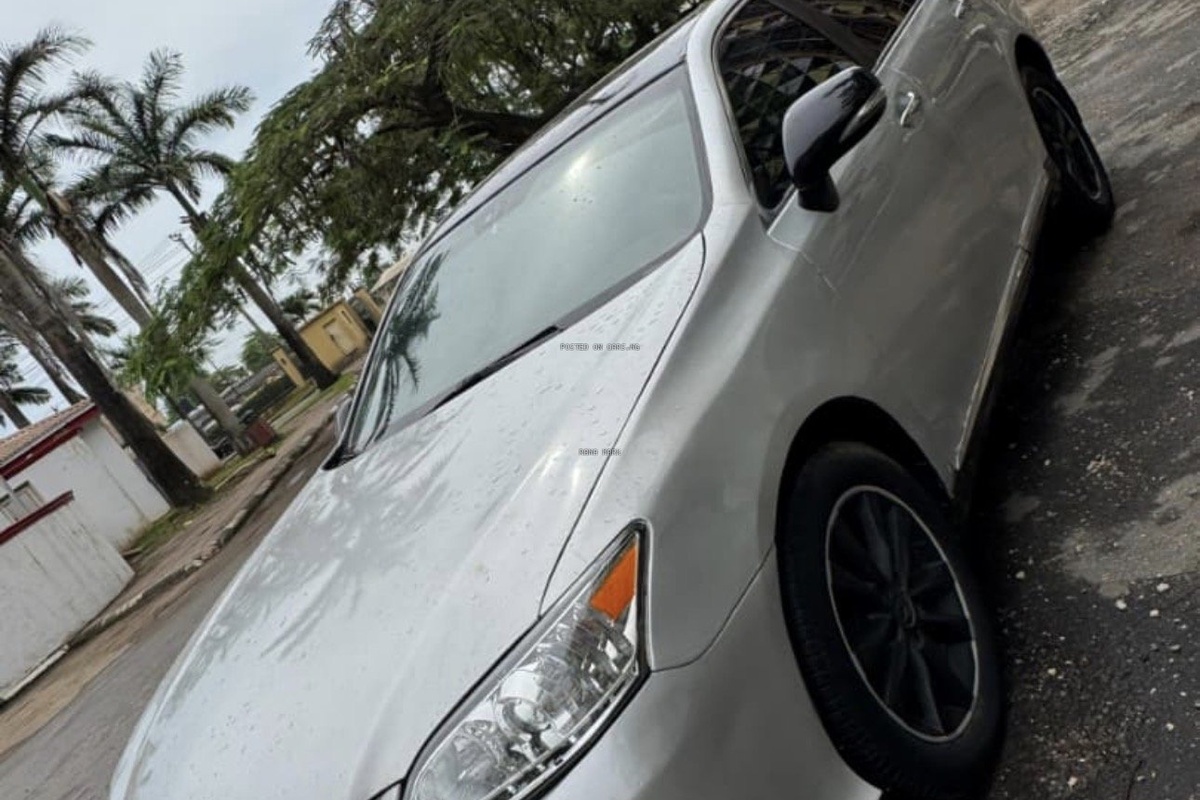 Rana Mark Hero Image