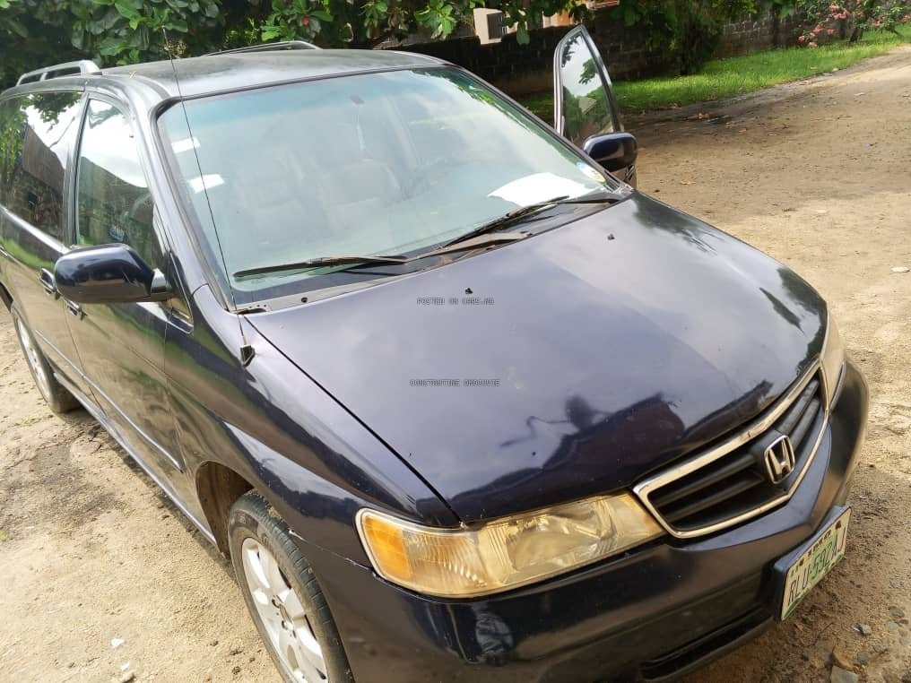 Constantine Omosuvie Hero Image