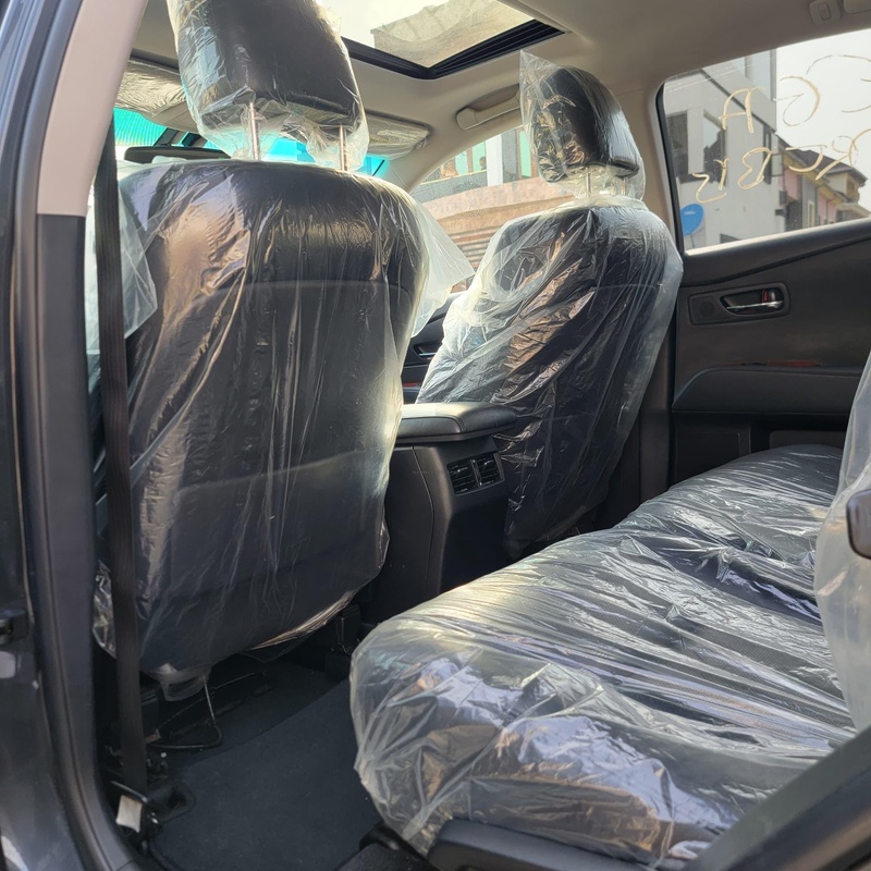 FOREIGN USED LEXUS RX350 2010 FOR SALE IN LAGOS image