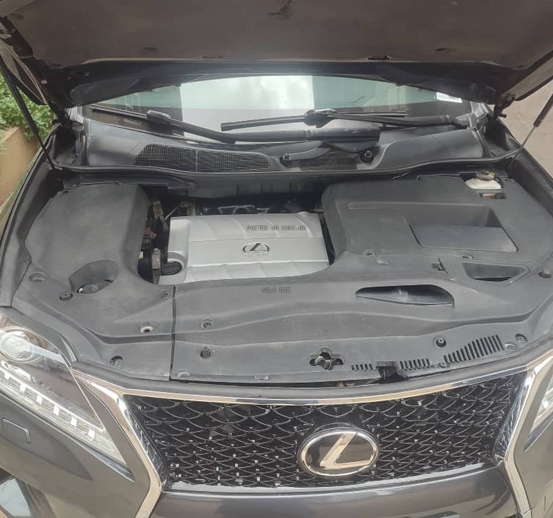 Foreign Used Lexus RX350 2010 for Sale In Lagos image