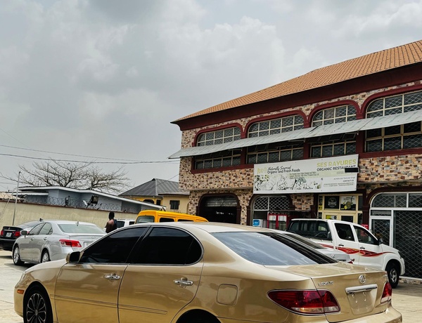 Nigerian Used Lexus ES 330 2005 for Sale In Lagos