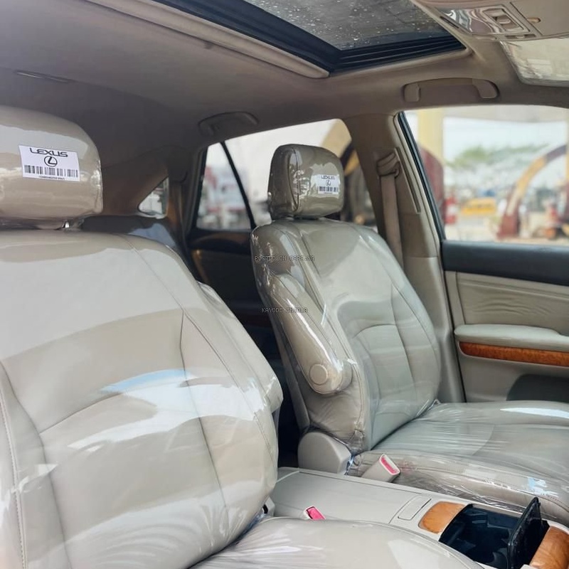 Neat Nigerian Used Lexus RX350 2007 for Sale In Lagos image