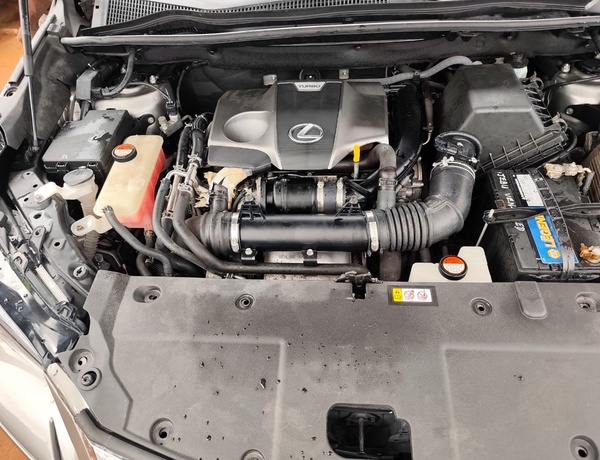 Lexus NX200t 2016 model Foreign Used