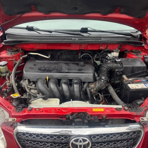 TOYOTA COROLLA 2005 WINE COLOR