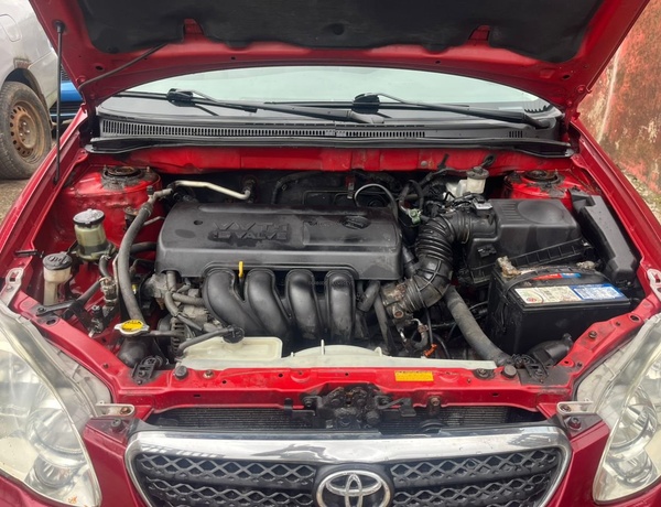 TOYOTA COROLLA 2005 WINE COLOR