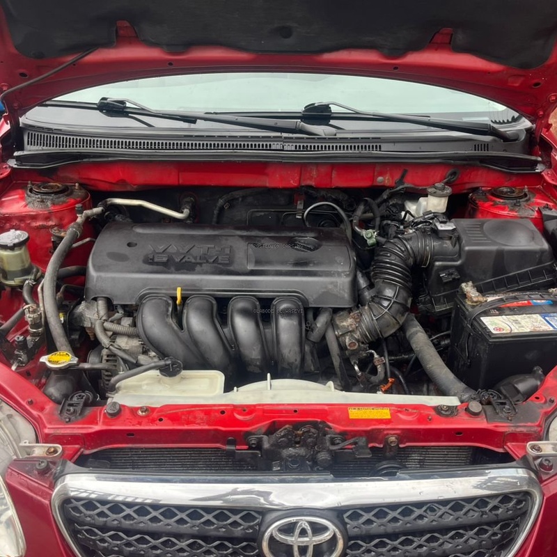 TOYOTA COROLLA 2005 WINE COLOR image