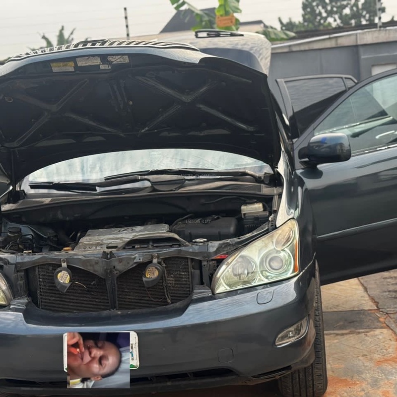Lexus RX 330 2004  for Sale In Benin City image