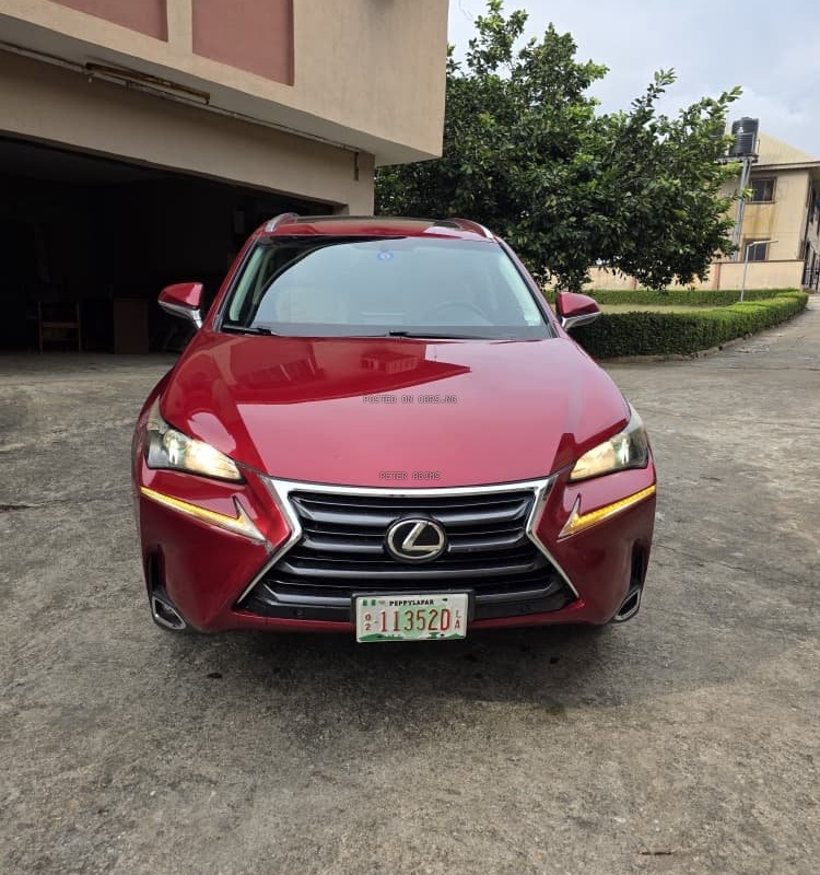 Foreign Used Lexus NX200T 2016 for Sale In Lagos image