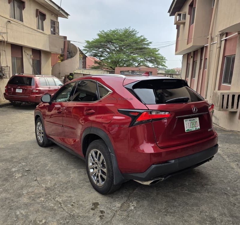 Foreign Used Lexus NX200T 2016 for Sale In Lagos image