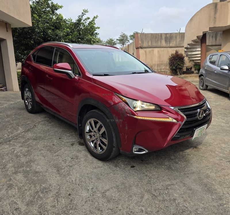 Foreign Used Lexus NX200T 2016 for Sale In Lagos image