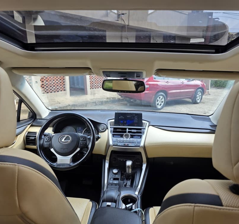 Foreign Used Lexus NX200T 2016 for Sale In Lagos image
