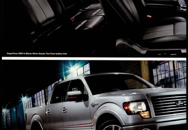 Ford F-150 image 2