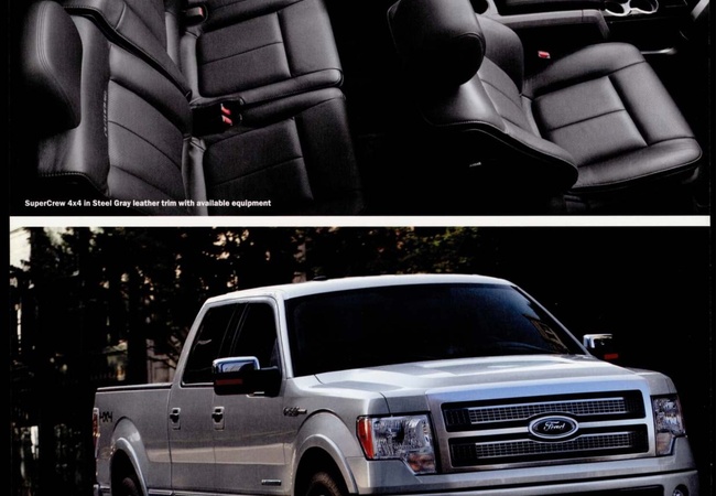 Ford F-150 image 3
