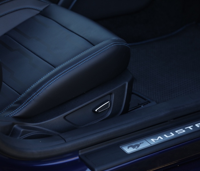 Ford Mustang logo Image