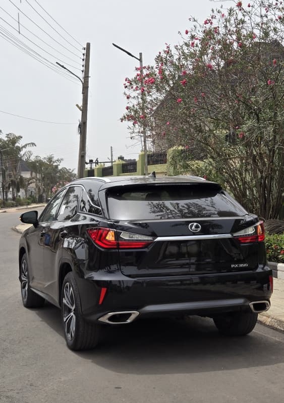 Foreign Used Lexus 2016 RX 350 for Sale In Lagos image