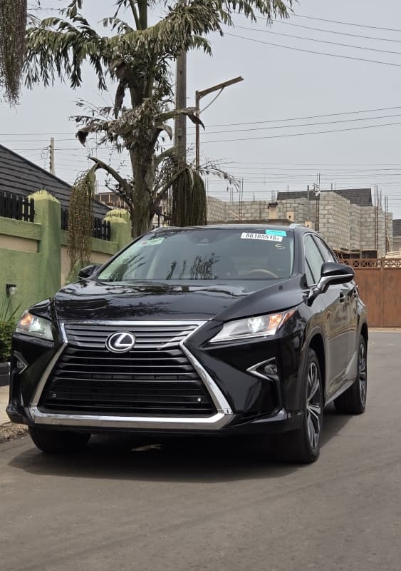 Foreign Used Lexus 2016 RX 350 for Sale In Lagos image