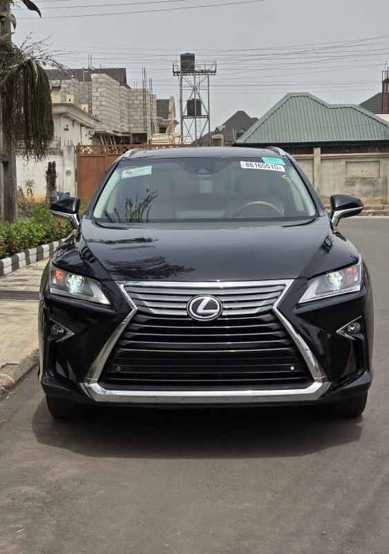 Foreign Used Lexus 2016 RX 350 for Sale In Lagos image