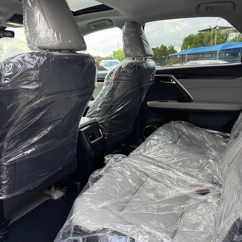 GOOD DEAL (FOREIGN USED)  2017 LEXUS RX350 FOR SALE IN ABUJA image