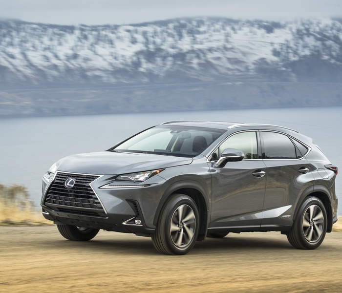 Lexus NX 300h logo Image