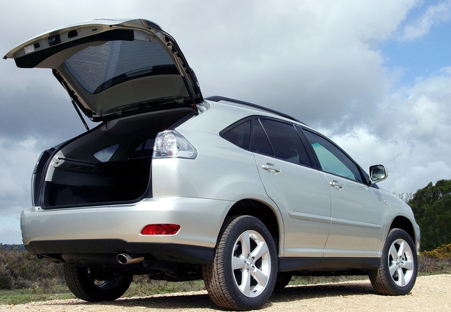 Lexus RX300 image 5