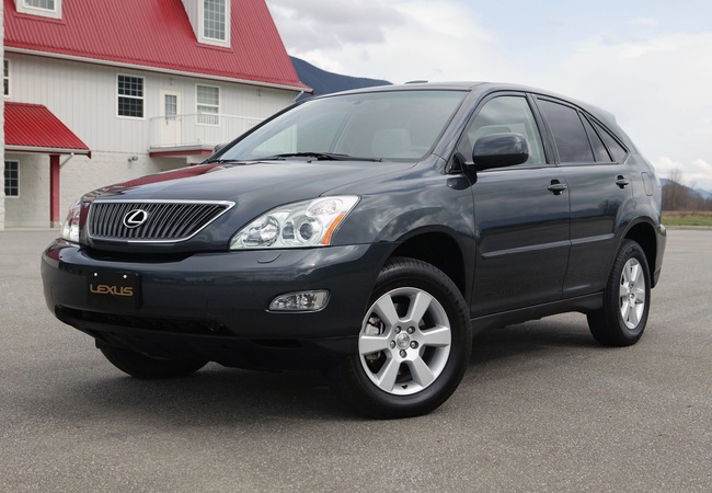 Lexus RX 330 image 2
