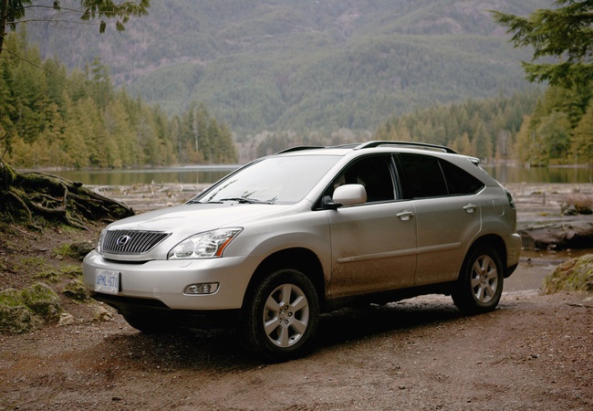 Lexus RX 330 image 3