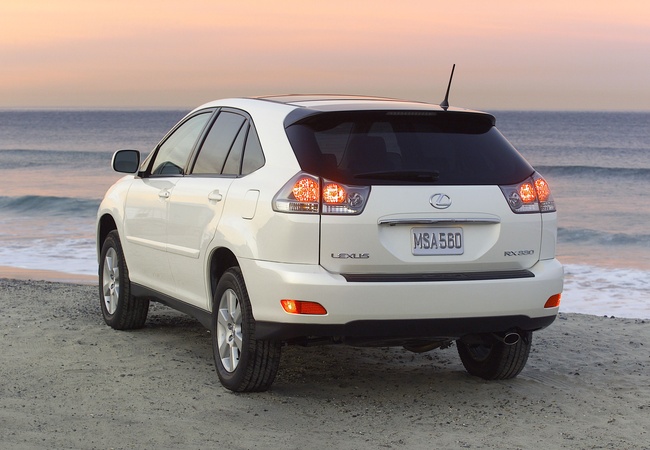 Lexus RX 330 image 3