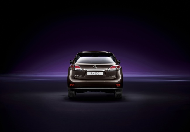 Lexus RX 350 image 5
