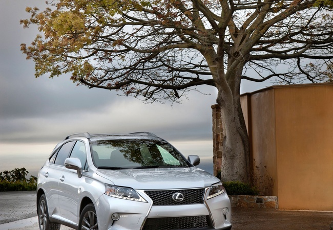 Lexus RX 350 image 5