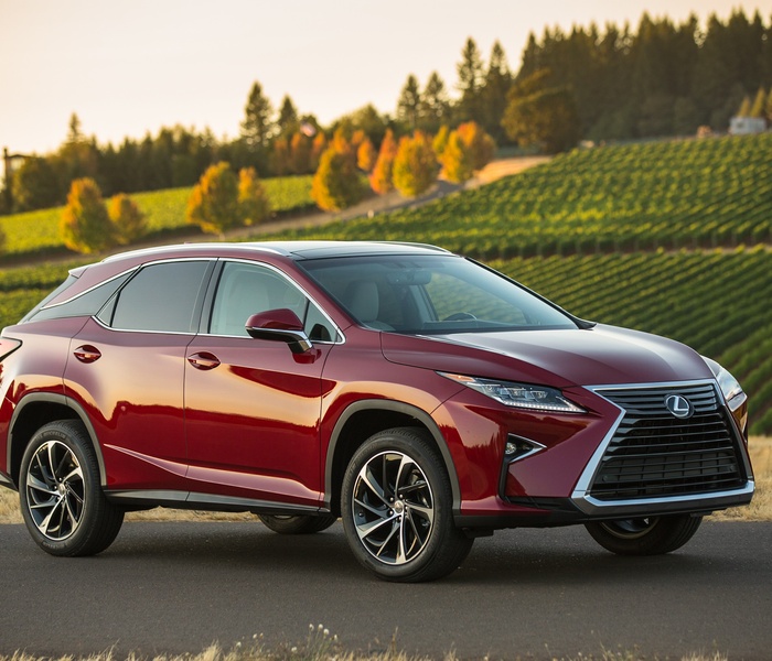 Lexus RX 350 logo Image
