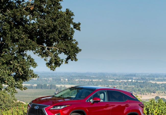 Lexus RX 350 image 4