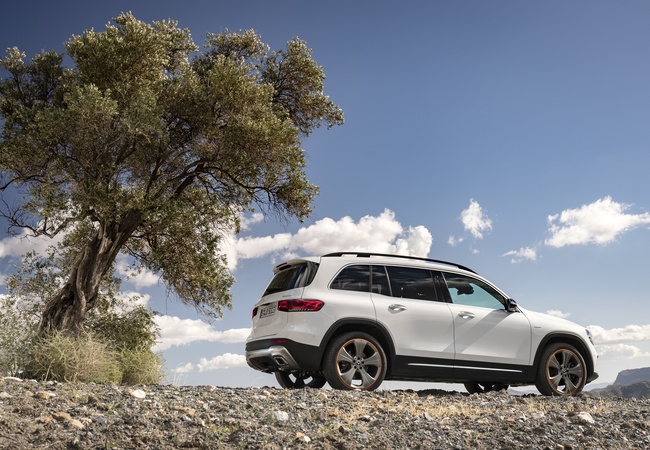 MERCEDES-BENZ GLB-class GLB 250 image 5