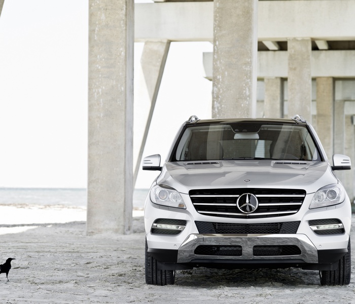 Mercedes-Benz M-Class logo Image