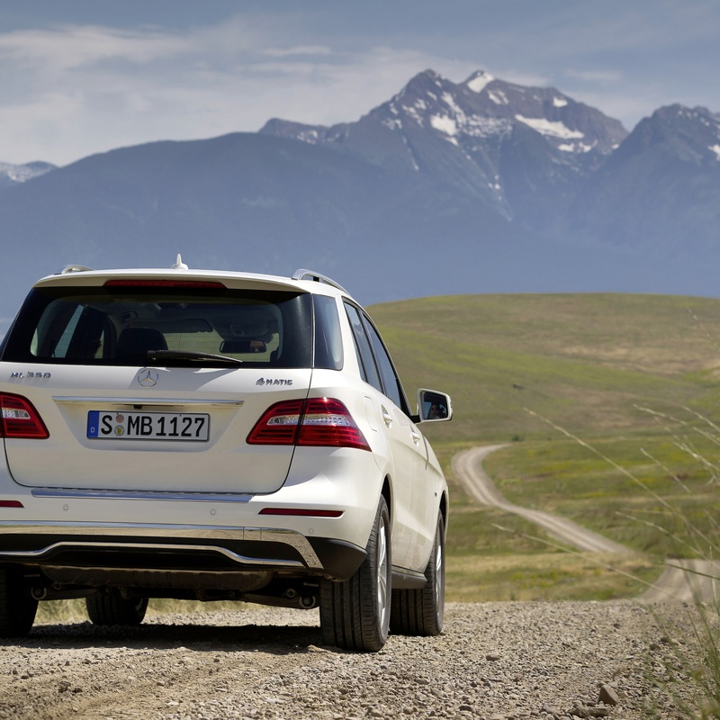 MERCEDES-BENZ ML 350 image