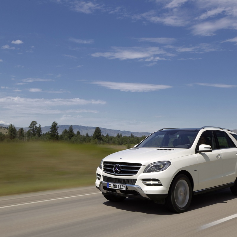 MERCEDES-BENZ ML 350 image