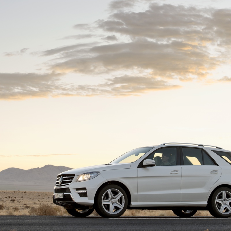 MERCEDES-BENZ ML 350 image