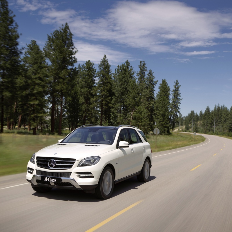 MERCEDES-BENZ ML 350 image