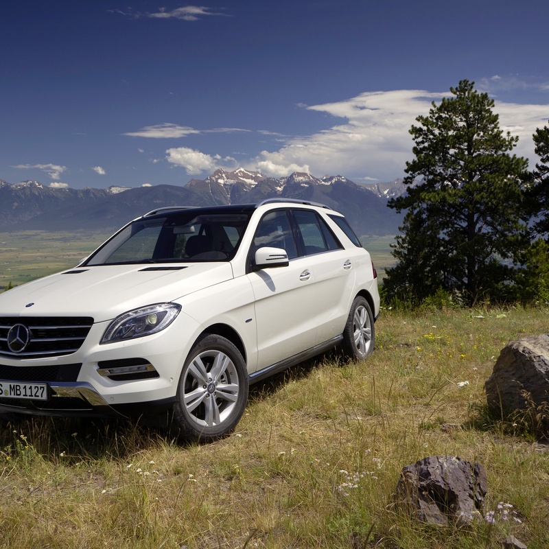 MERCEDES-BENZ ML 350 image