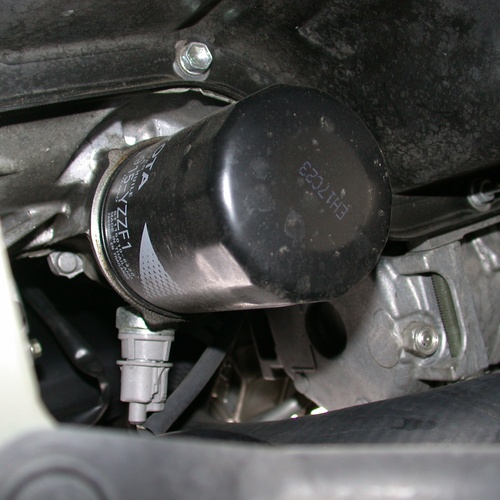 Oil Filter