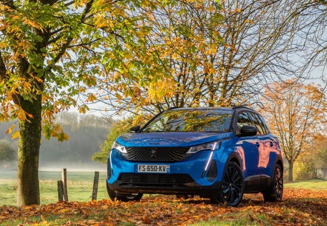 Peugeot 3008 image 4