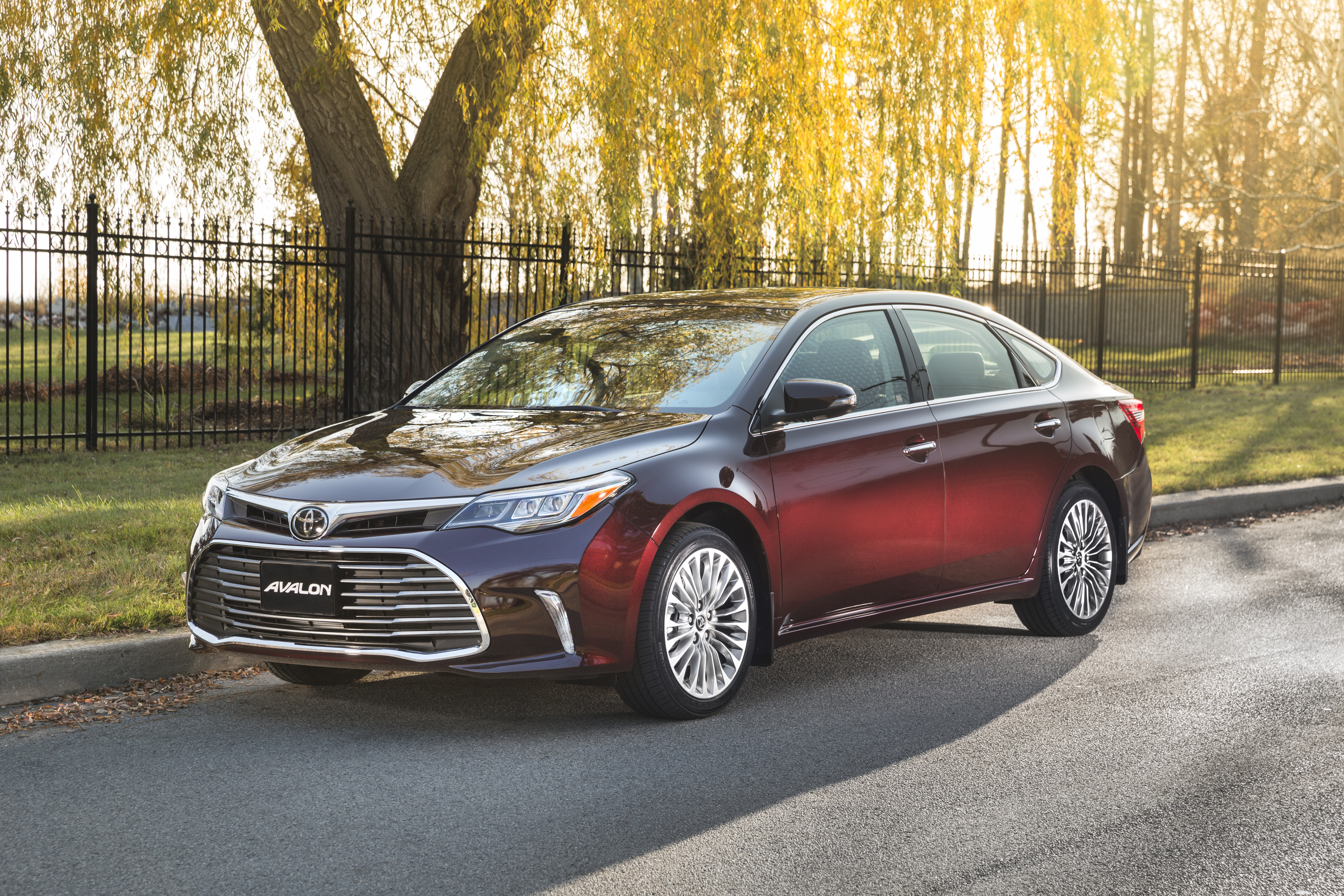 Toyota Review Image