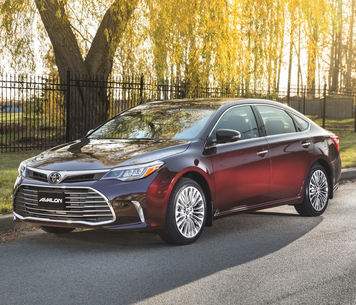 Toyota Avalon XLE logo Image