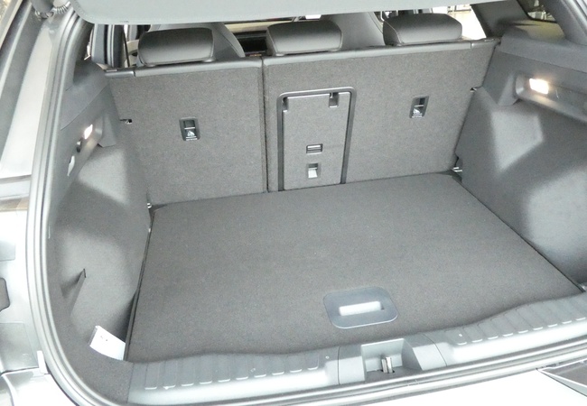Trunk image 2