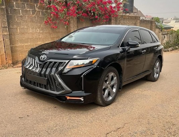 UNIQUE 2010 TOYOTA VENZA