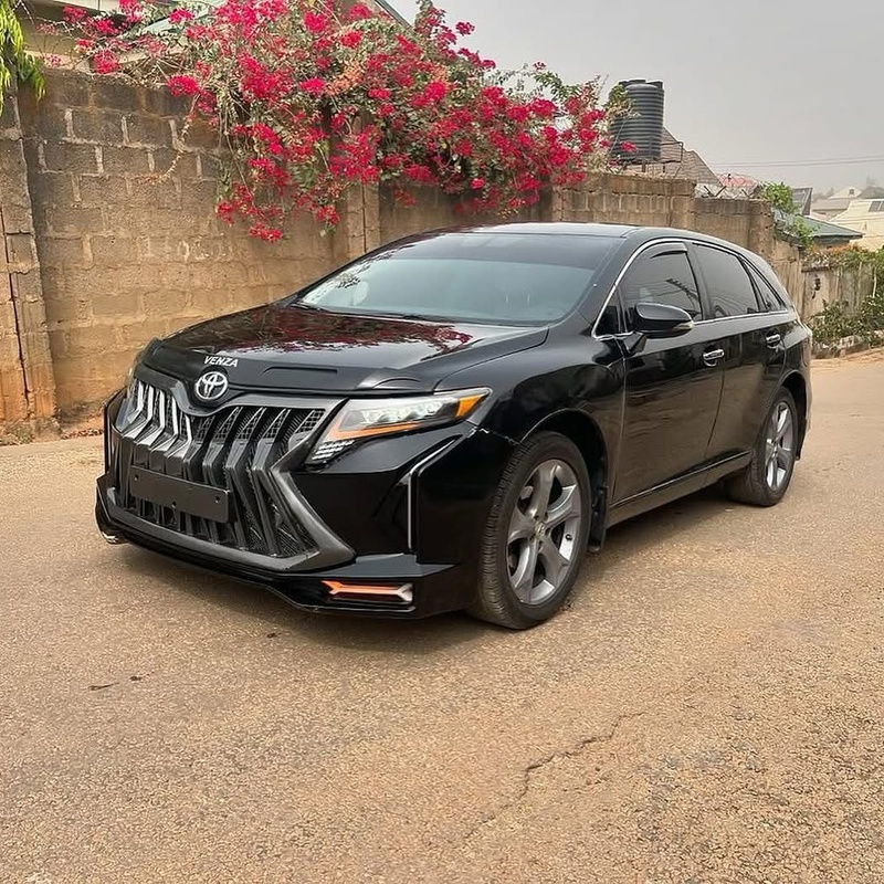 UNIQUE 2010 TOYOTA VENZA image