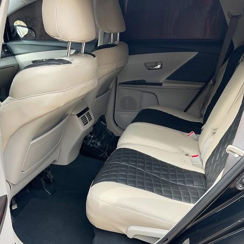 UNIQUE 2010 TOYOTA VENZA image