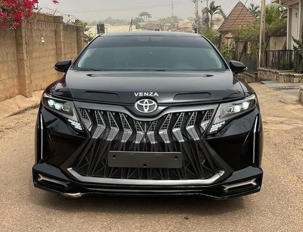 UNIQUE 2010 TOYOTA VENZA